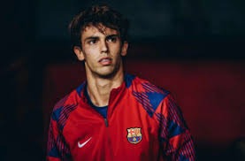 V观体育｜中国滑雪跑出“青春加速度”